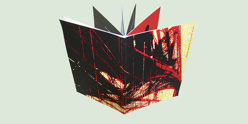 Cover of the book depicts the Forth Bridge, which must be painted