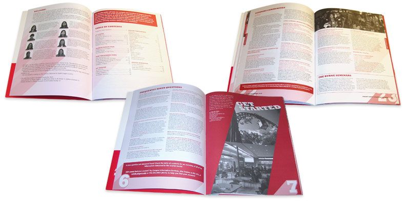 Spreads from the 2010 guide